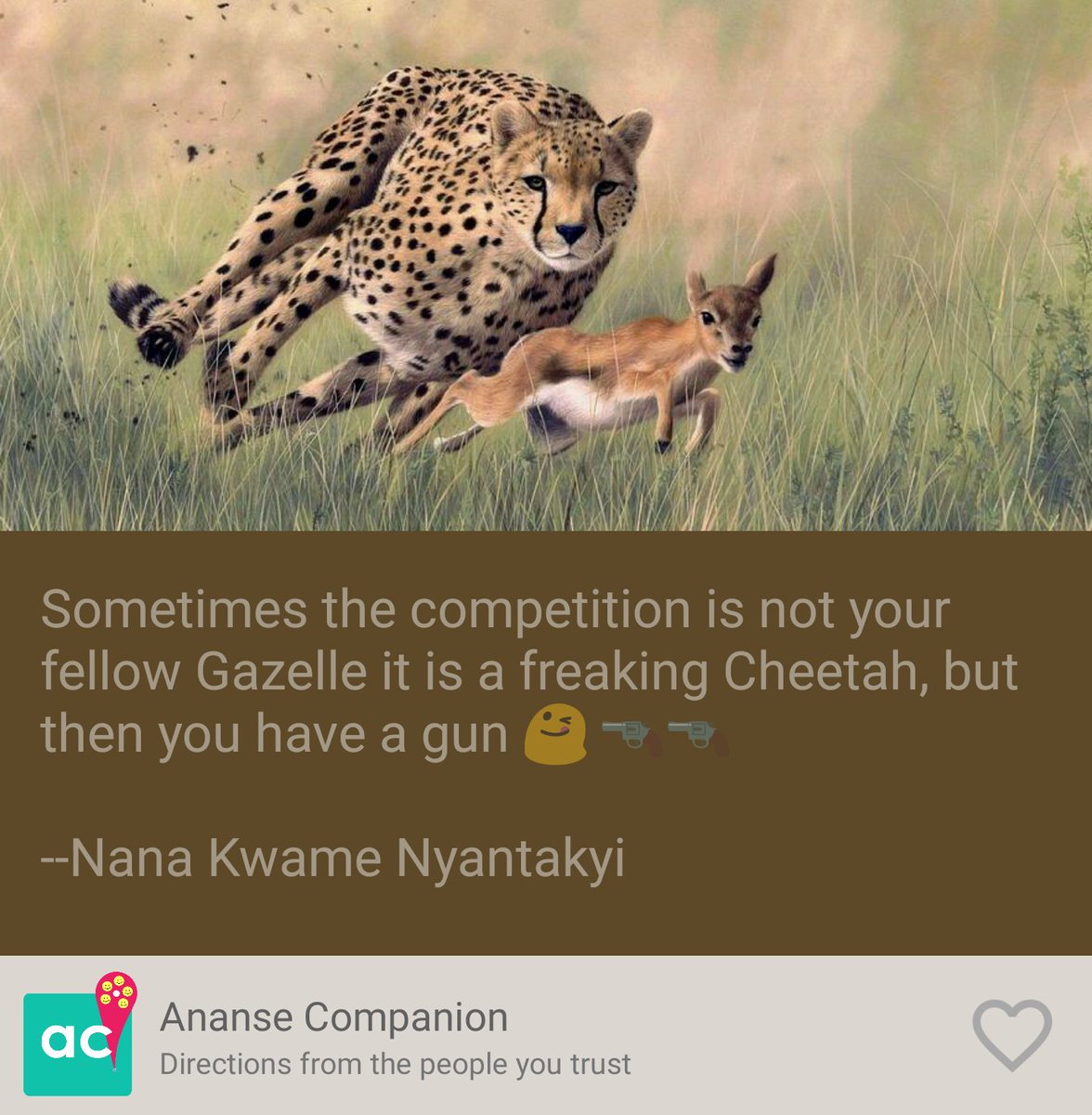 anacquote's tweet image. But how do you shoot ??? #anacquote