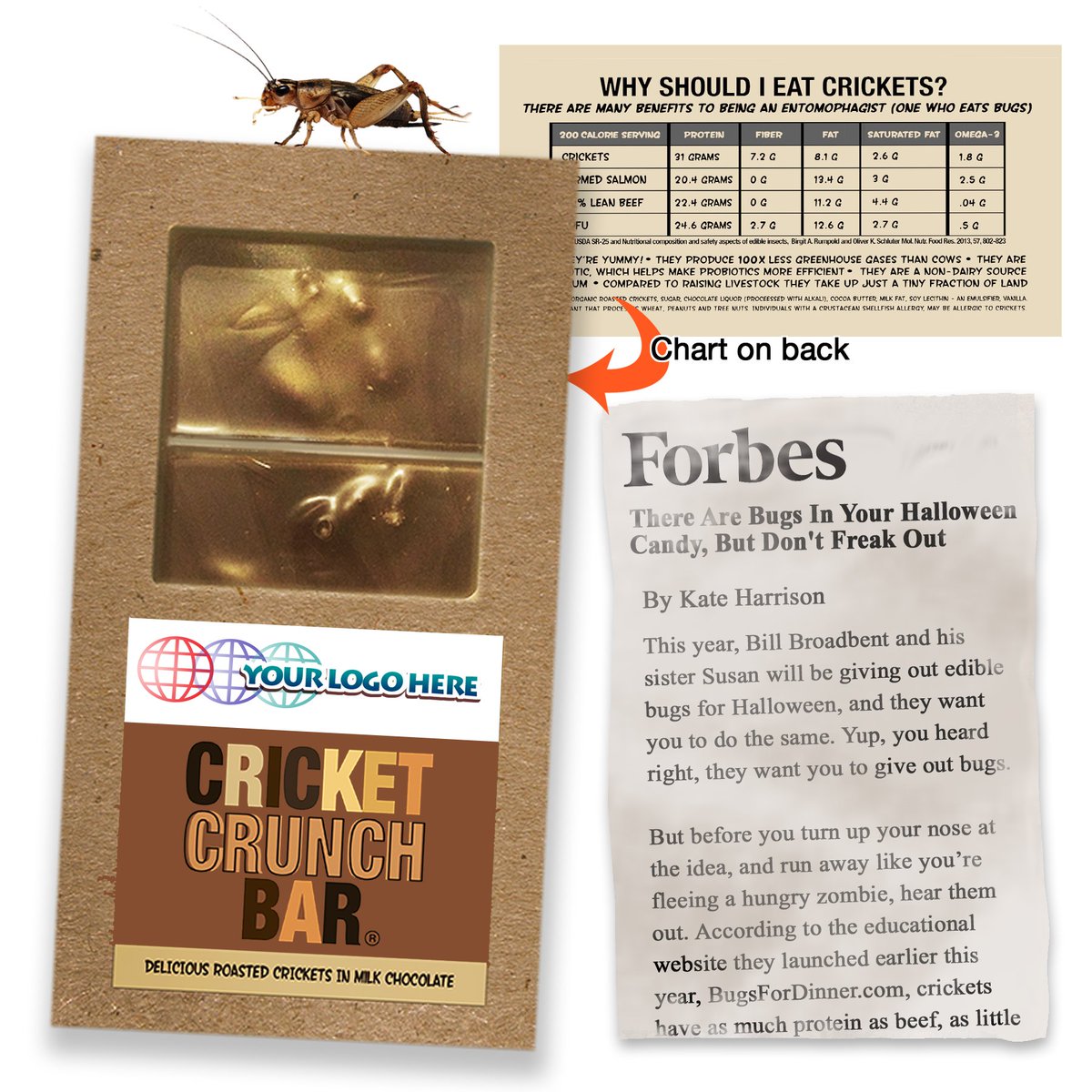 Ento_Source's tweet image. Cricket Crunch Bar | Whole Crickets | Milk Chocolate
entosource.com
#customersuccess #PromotionalProducts #AddYourLogo #Halloween