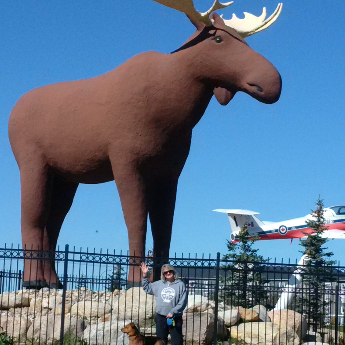 msminka2015's tweet photo. One guess as to where we are? #maritimerforlife #NSBound https://t.co/zwuE2RLgQa