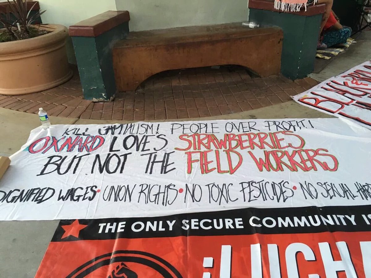 Yosoy132Chitown's tweet image. Compás in Oxnard sharing info at their community open forum for #Ayot2inapa 
Yes ✊ #Black&amp;amp;Brown Unity!