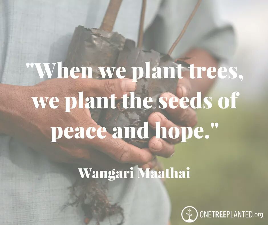 Sincere gratitude to Professor #WangariMaathai who lived and led by example. 
#Reforestation #GreenBeltMovement