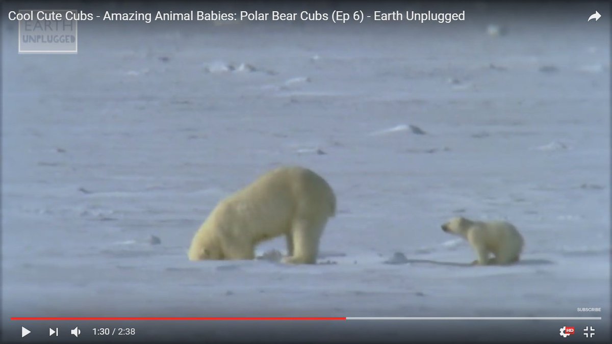 Tuscan Blue 氷の星 エウロパの同じ場所から水蒸気の柱が噴出している理由は何でしょう 宇宙シロクマが分厚い氷の 下にある海で狩りをするために 全身の力をこめて氷を割って穴をあけたから