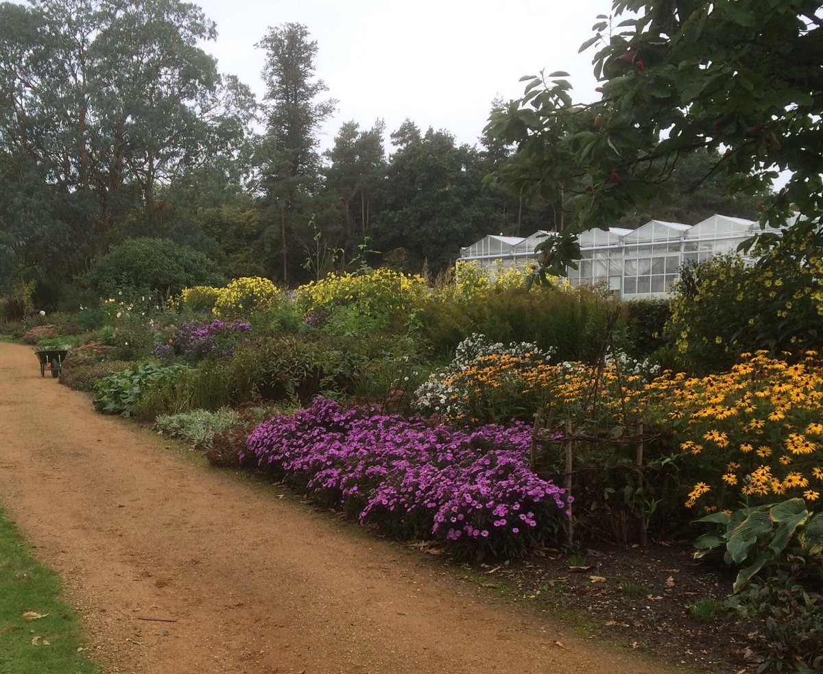pennymarshwort's tweet photo. The colours of the Harris botanical Garden @UniofReading Learning about the diversity of plants &amp; identification with @BotanyRNG #MScPltDiv https://t.co/grVfxb3D5Q