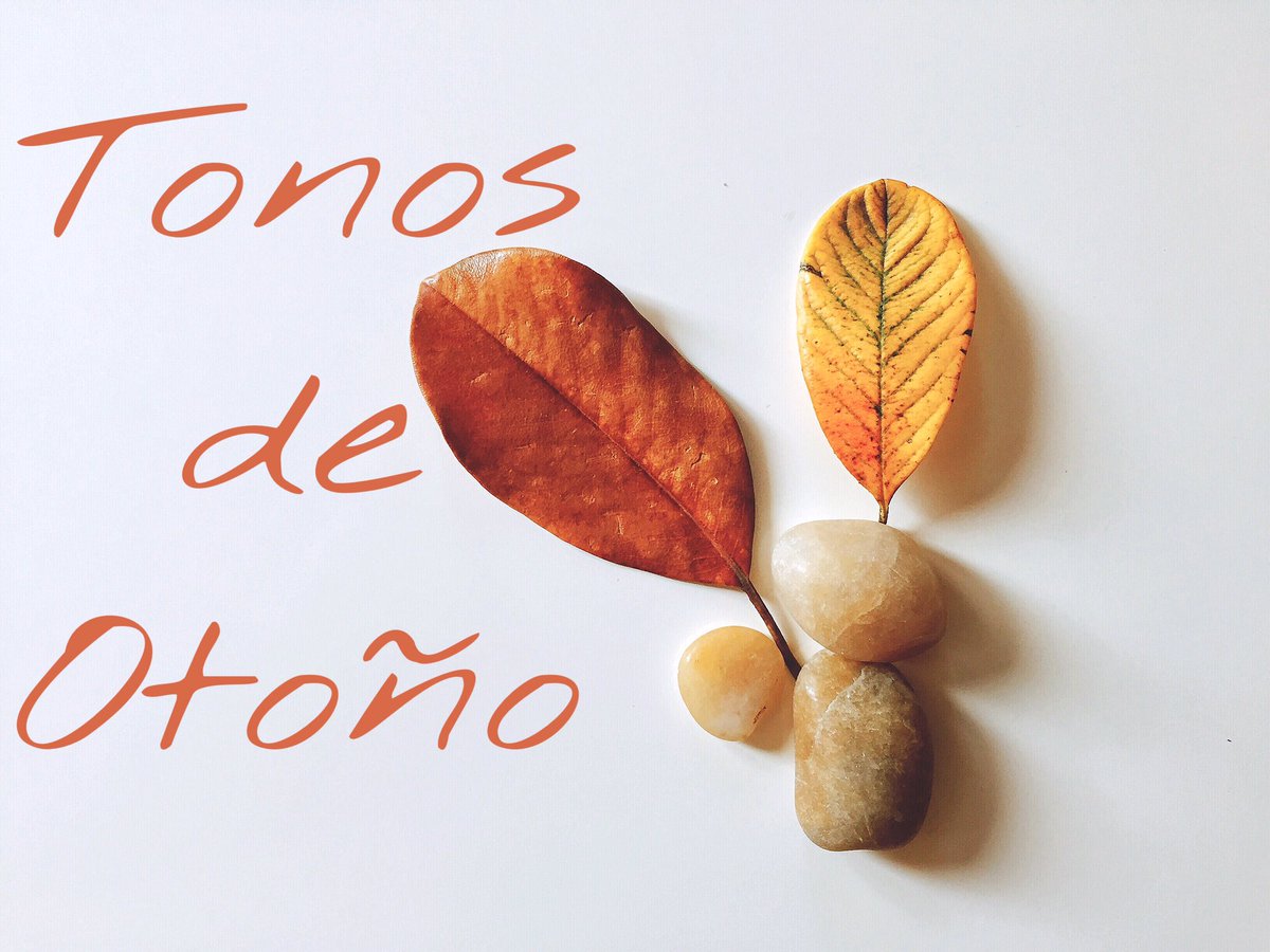 enclavedesabor's tweet photo. Nos gustan los colores del #otoño #hojas https://t.co/ynxqoeFt2v
