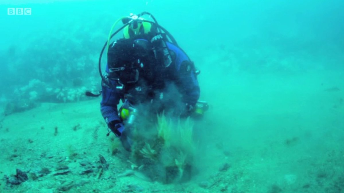 F_Flashman's tweet photo. Saw my work and myself on the #BBC tonight!! 
@BBCEarth #wreckhunt #ocean #sea #scuba #tv @scubadivergirls @scubadivingmag @scubadiverlife https://t.co/IbtkkJwvOA