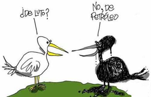 Ecogranjero's tweet photo. UN POCO DE #HUMOR AMBIENTAL, SI ES QUE SE LE PUEDE LLAMAR HUMOR.... https://t.co/0WSSeA49ig
