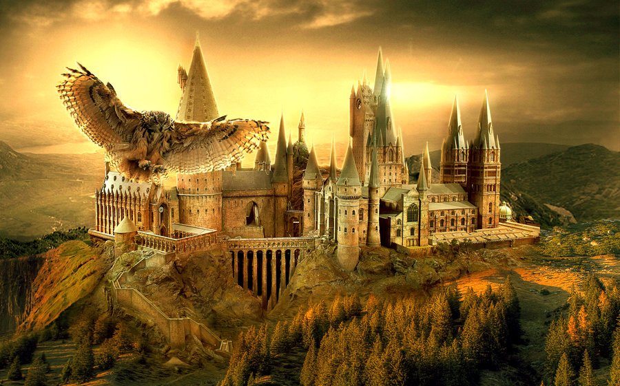 VisitTheColony's tweet photo. Register for the Back to Hogwarts Bash at #TheColonyPublicLibrary October 15. https://t.co/1gcOwQgWHE https://t.co/CE2MP78Rgy