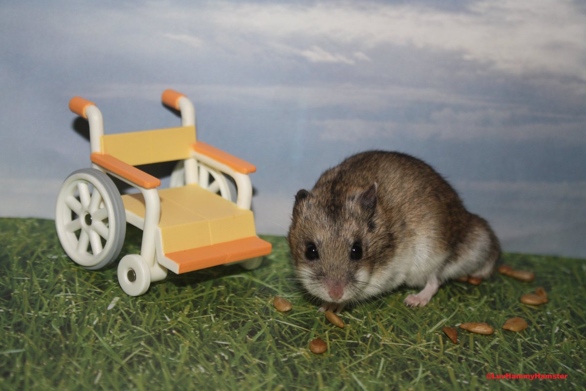 Hammy #LoveNoteDay - I would Really Love it if you donate $1 <a href="/SaveKidsCastle/">SaveKidsCastle</a> to help the cause so all kids can play SaveKidsCastle.org