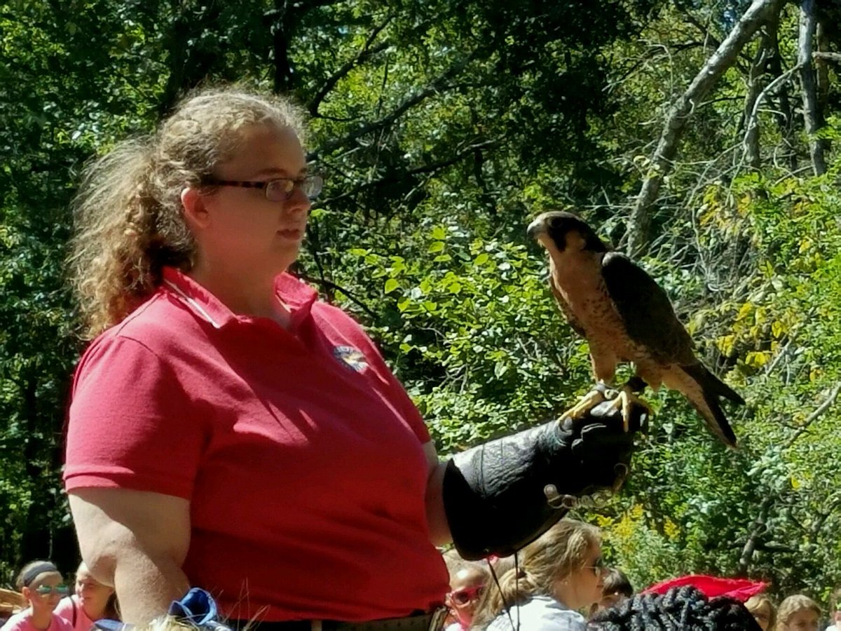 tfarran_MHE's tweet photo. Birds of prey visit! https://t.co/EiLrUHIPWa