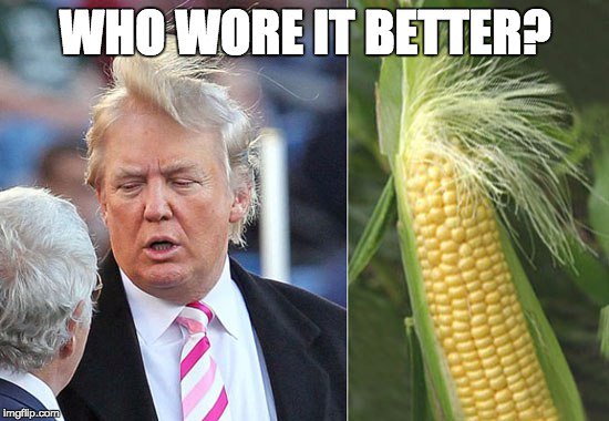 isberniecrazy's tweet photo. we stopped understanding what he was saying so we just started googling corn. here u go. #debatewithbernie .@realDonaldTrump #Debates2016 https://t.co/oEpGysmq6N