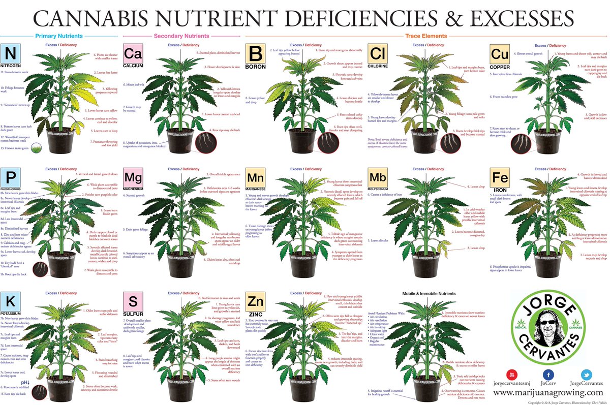 Helpful poster for every grower!
Thanks Jorge
#weedgrohub #marijuanagrowing #cannabis #weed