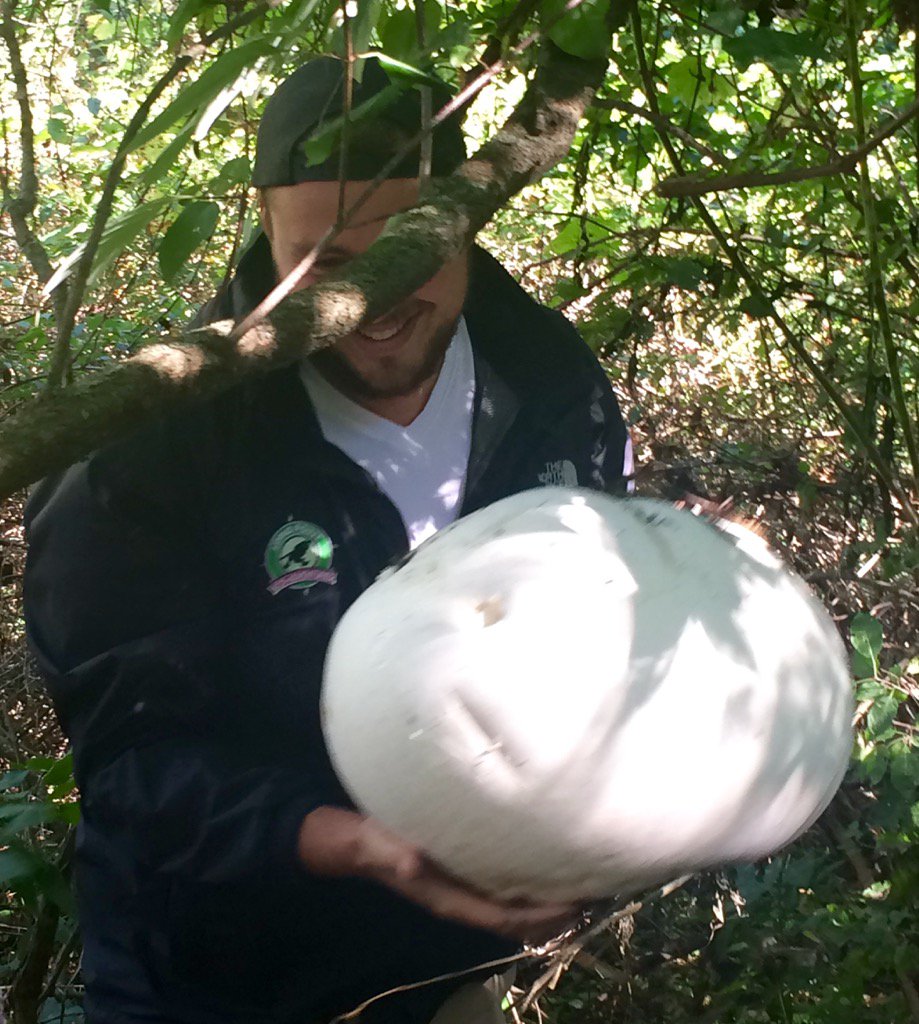 HUGE discoveries on the Mushroom Foray!@LongPointEcoAdv  <a href="/RobinTapley/">Robin Tapley</a> @BurningKilnWine