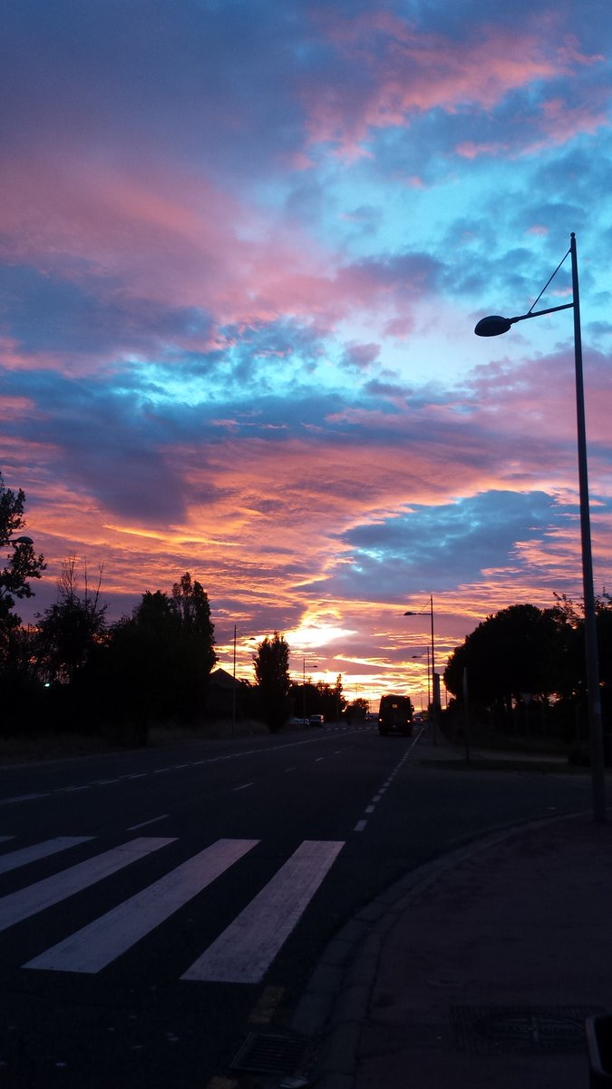 Monicagm15's tweet photo. La belleza de lo efímero. https://t.co/WQmnUaNKMa