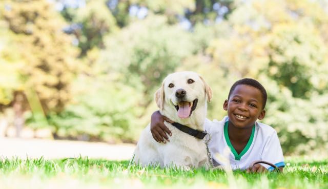 PRISTINEP00LS's tweet photo. Owning a #Dog has #health benefits! Read how they help with #Anxiety in #Kids here  https://t.co/rCRF4EmC6Y https://t.co/tVSeAPXkK0