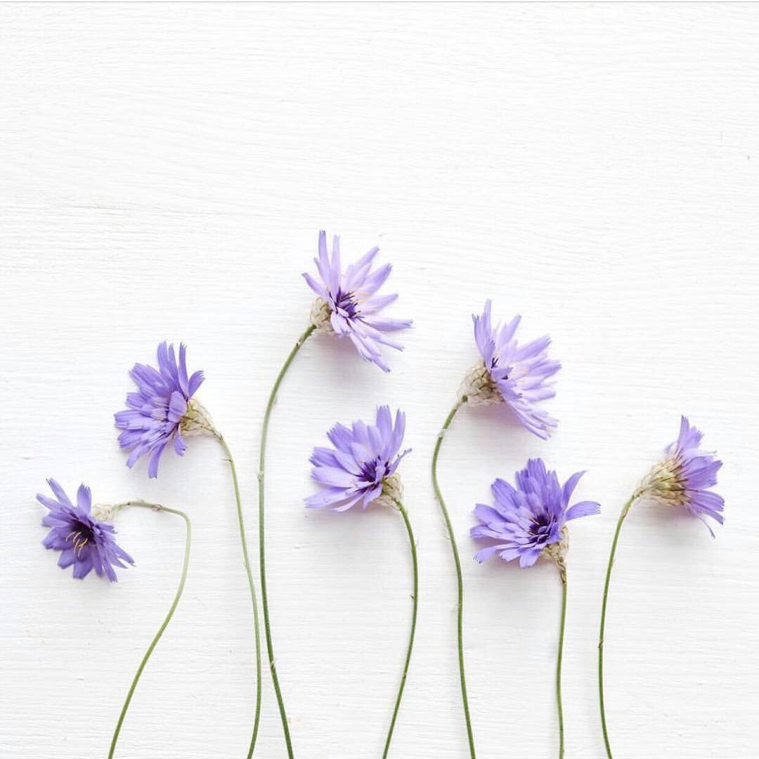 الإبْتعاد عنْ صِغار العقول ...
لا علاقة لهُ بالغرور أبداً ..
هناك فرْق ٌكبير بين الترفُّع والتكبُّر ...