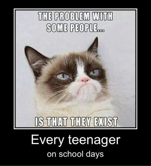 TrueNorth__'s tweet image. 