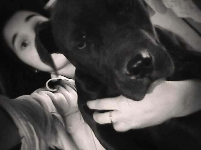Taati_Pitu's tweet photo. #CaraDeCulo #Pitbull #AmorEterno <3 https://t.co/A08lfKuH9i