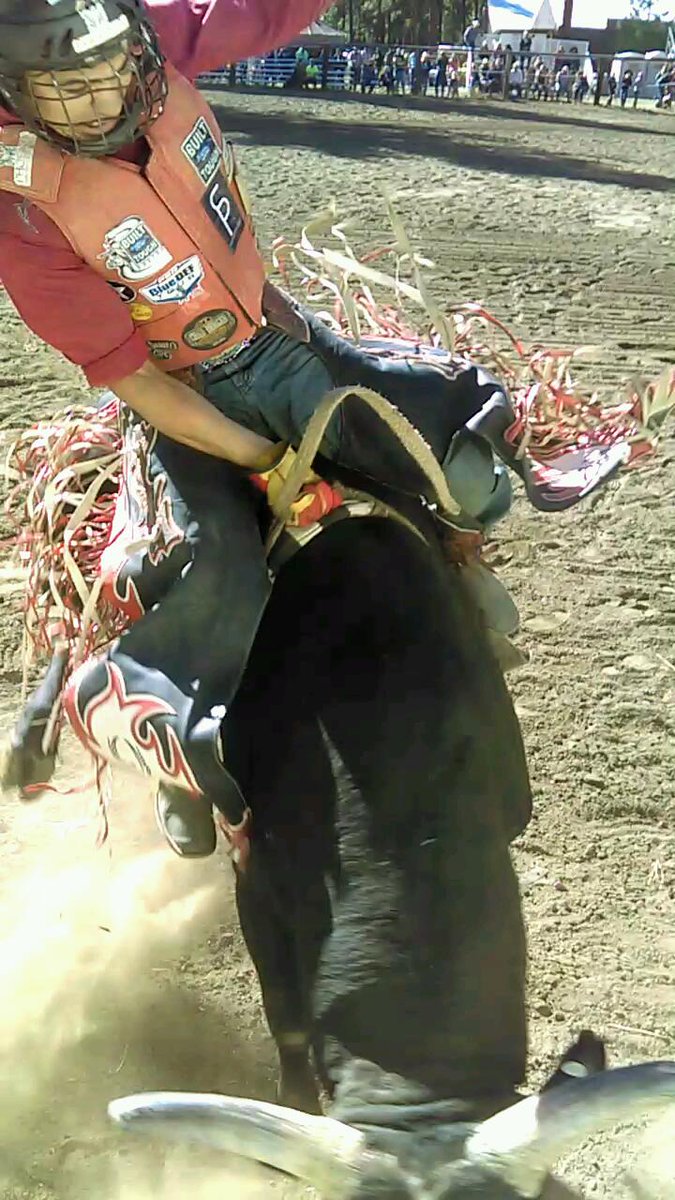 ShawnBestII's tweet image. Up close and personal #90points @12TribesCTC @chewcoffeedip @warriorsnrodeo #tkvest @smithprollc #cowboy #fitfam #PBR