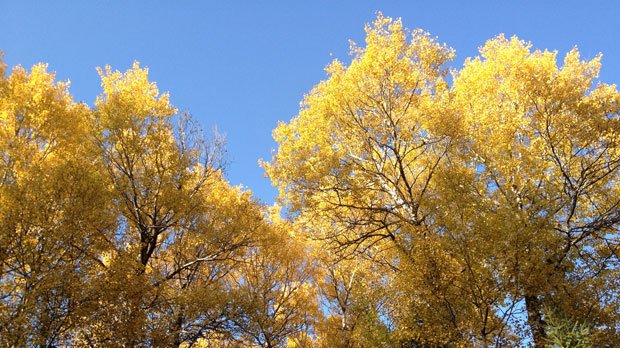 @ColleenCTV with your Skywatch Weather at Six, Sept. 26 (Source: Gwen Toonstra) ctvwpg