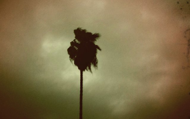 Ask A Native Angeleno: What Makes The 'Santa Ana Winds' Different From Regular Old Wind?