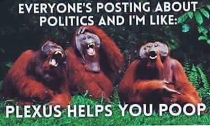 erindiehl31's tweet image. #justsayin #plexuspower #plexusforpresident