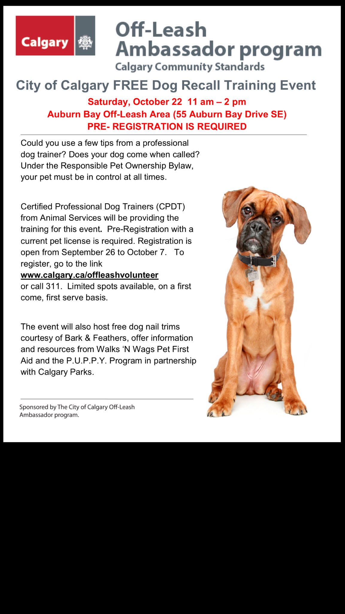 How Do I Register My Dog In Calgary