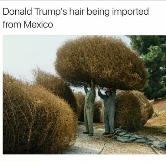 Arenkwg's tweet photo. #take1fortheteammagazine #trump #trumpmemes #trumpshair https://t.co/aTmcVbyFVT