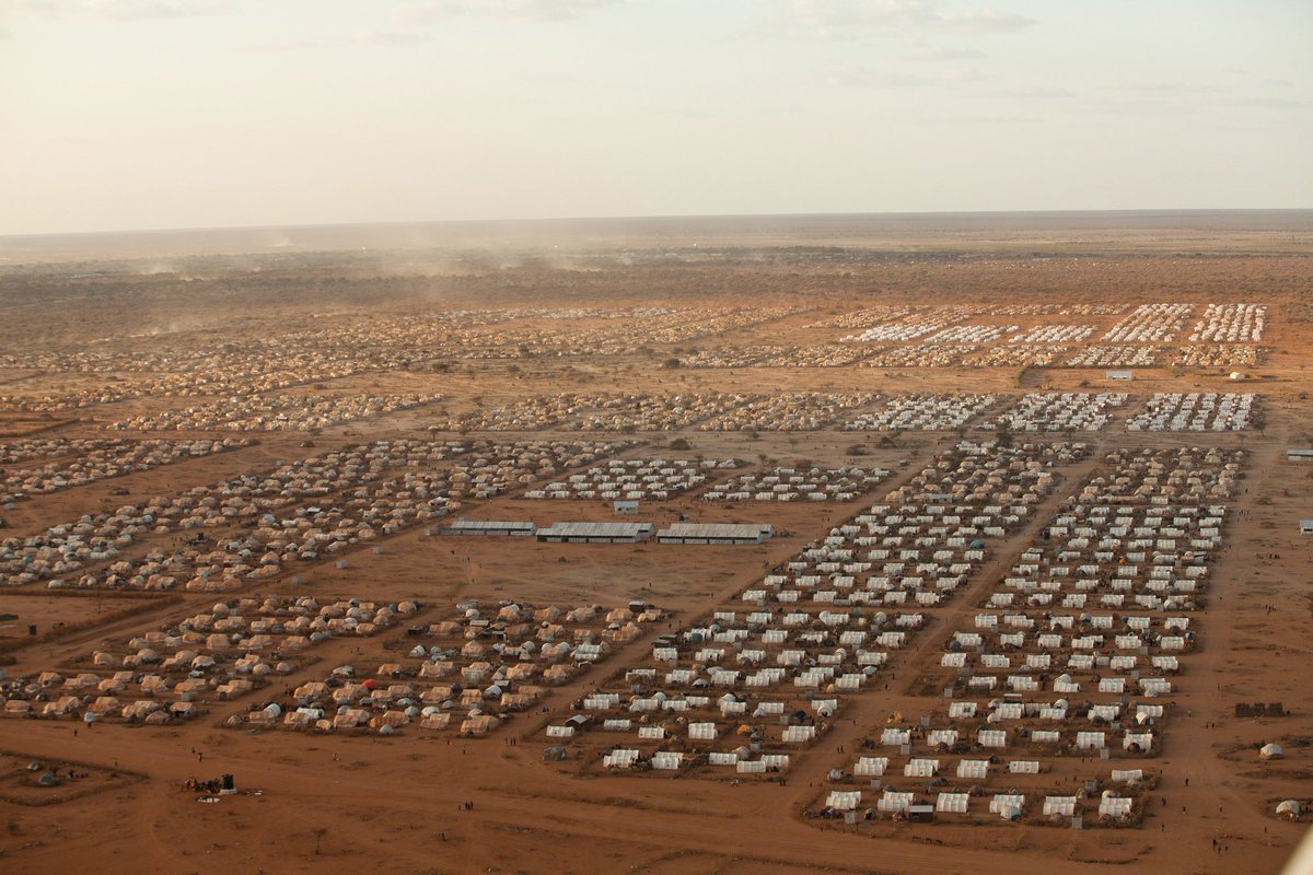 fernganda's tweet photo. Look out for MoMA's upcoming website for the exhibition Insecurities: Tracing Displacement and Shelter. Show starts on 1 October! https://t.co/9YKbPWijyg