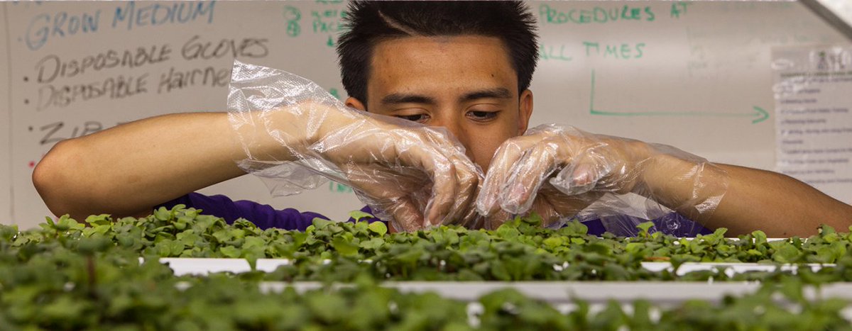 EdTech_K12's tweet photo. Chicago #k12 students create a #computer to help solve #foodsecurity issues https://t.co/BX1bPkyeJh https://t.co/fdPDQHdUjl