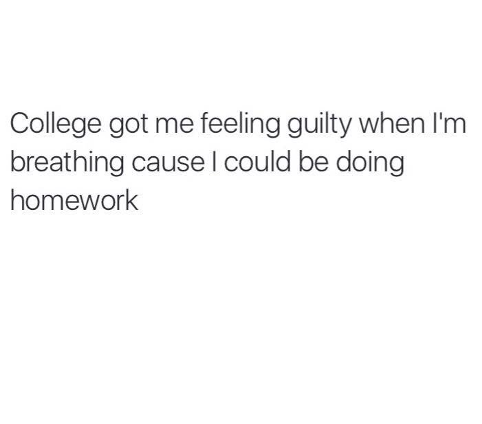 bethany_42's tweet photo. So true 😂 https://t.co/IusF11Px7P
