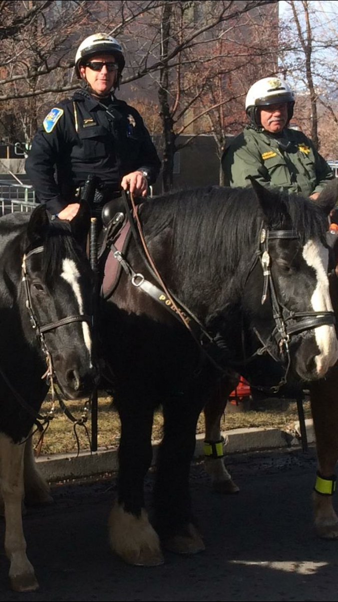 SparksPolice's tweet photo. Saddened our horse team member Sarge euthanized last night due to colic. Sarge served many years: special events &amp; parades. RIP Sarge🐴 https://t.co/NlCFdttVeQ
