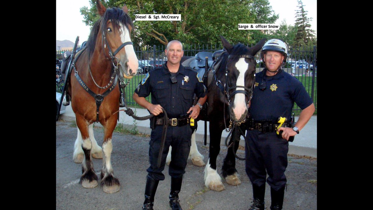 SparksPolice's tweet photo. Saddened our horse team member Sarge euthanized last night due to colic. Sarge served many years: special events &amp; parades. RIP Sarge🐴 https://t.co/NlCFdttVeQ