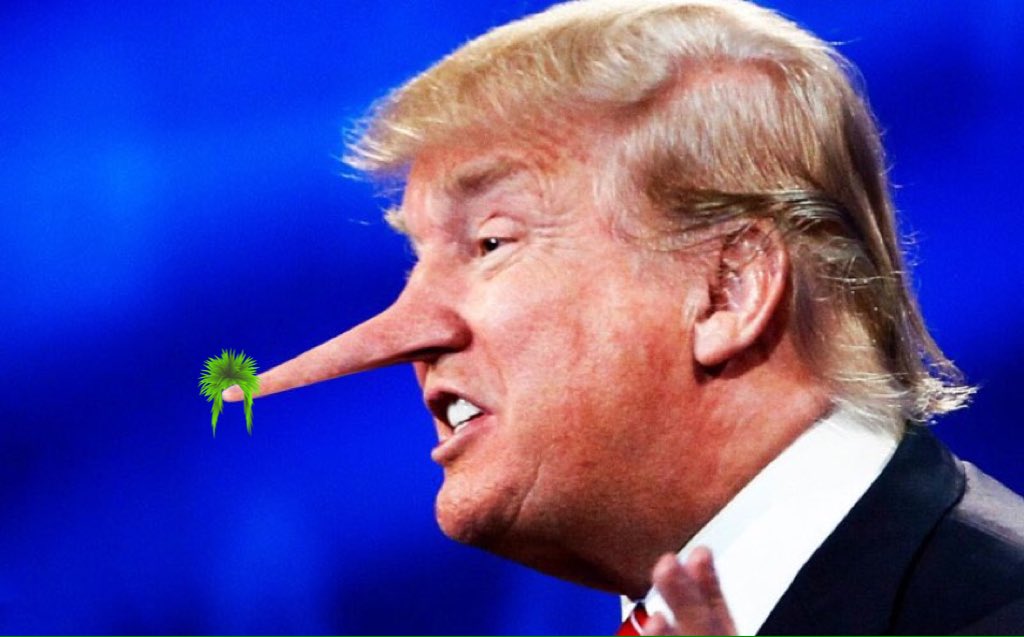 Americo_Martinx's tweet photo. This man thinks his man part is same size as his nose. No, he isn't blessed that way. It's only in your head, Trump! #debatenight #FibMaster https://t.co/pzdvZ1bYsF