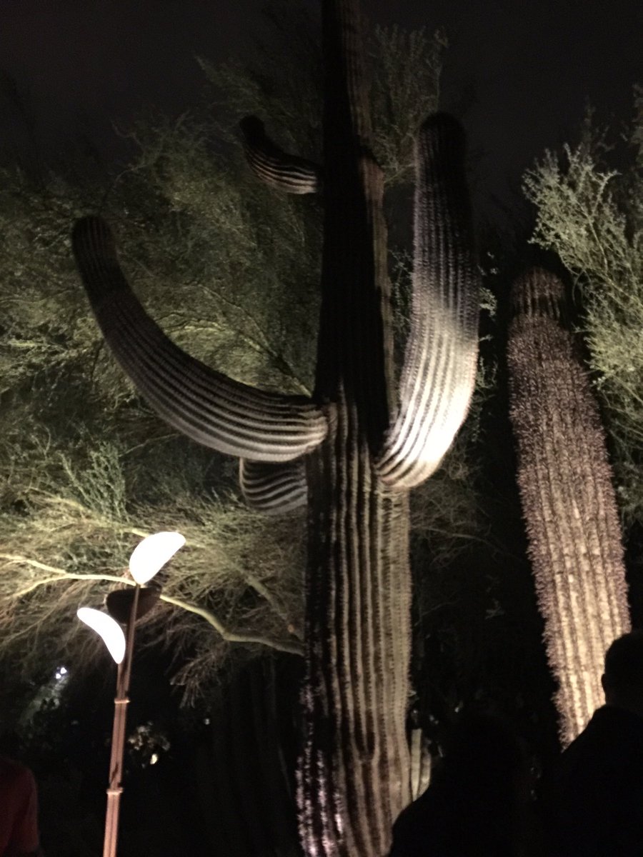 KatharineMacKni's tweet photo. #wma2016 Desert Botanical Garden #TheyCallUsMAD @TriciaEnsing https://t.co/RWYKf3pLhJ