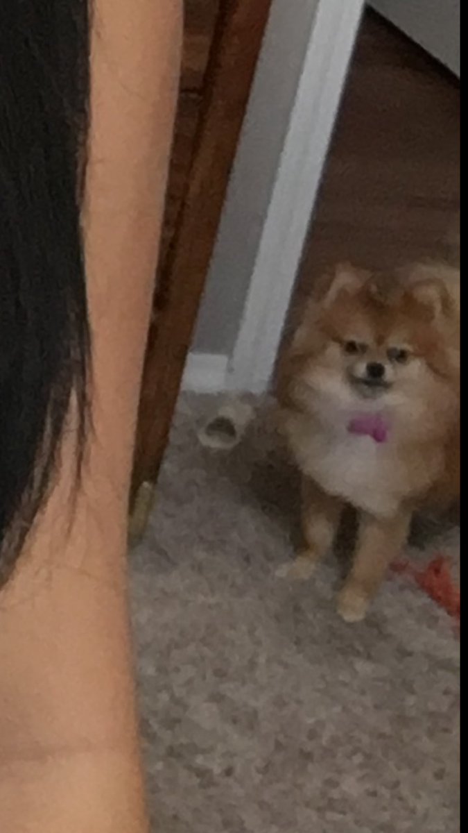 marissad606's tweet photo. Going through the selfies I took today and who do I see creeping but baby K... https://t.co/RXHNYfHHJN