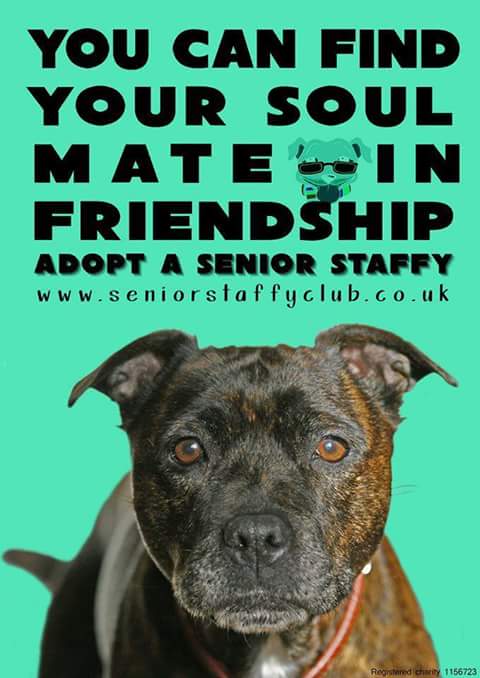 StTrumper's tweet image. 