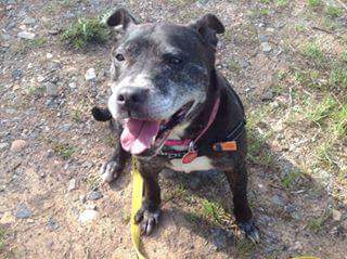 StTrumper's tweet image. 