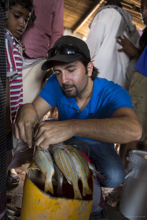 New blog by past-post doc Joey DiBattista! Expect more awesome updates of his fieldwork/experiences soon! Go Joey! josephdibattista.squarespace.com