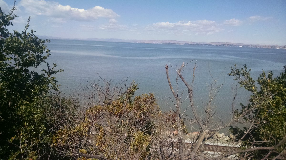 AddictLadder's tweet image. San Francisco Bay....U kno what we do to that view in Cali lol