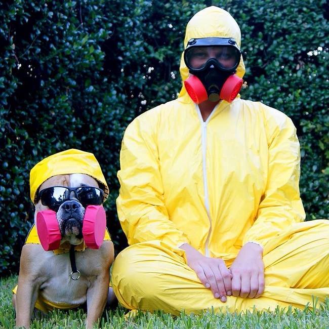 Funidelia on X: ¿Eres fan de #Heisenberg y #Pinkman? ;) #Disfraces de # BreakingBad #saymyname #cosplay    / X