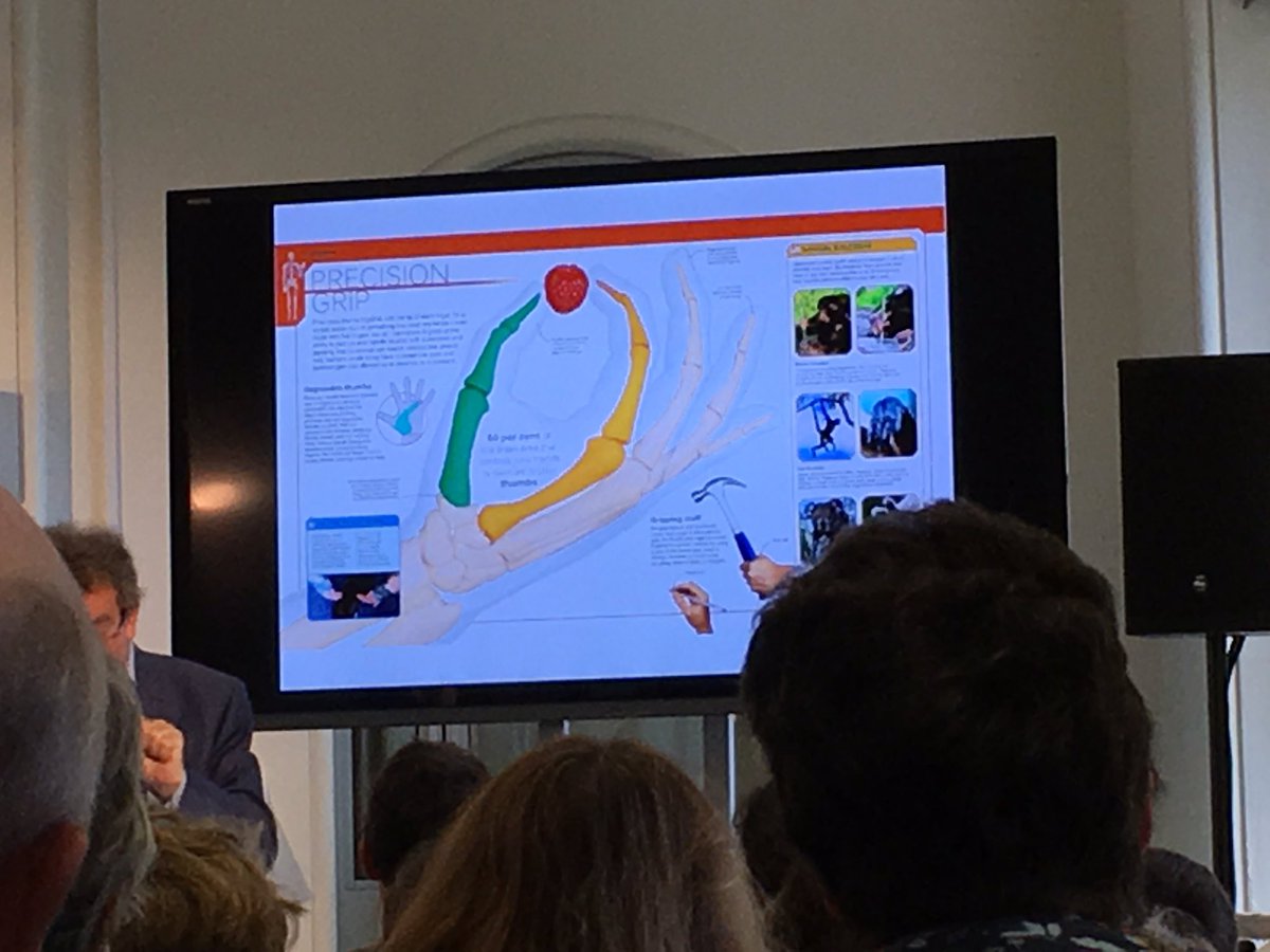 MSprostranova's tweet photo. Fascinating talk by @ProfRWinston 
#TheSkeletonBook #WriteOnKew Did you know that a human bone is x8 stronger than concrete weight4weight😳👍 https://t.co/h9fZxjSuGH