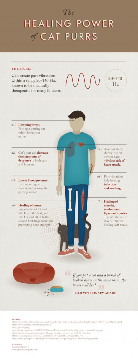 blowt's tweet photo. The Healing Power of Cat Purrs
It seems that our own animals have the ability to relieve us of our troubles. https://t.co/AjFLM3heiG