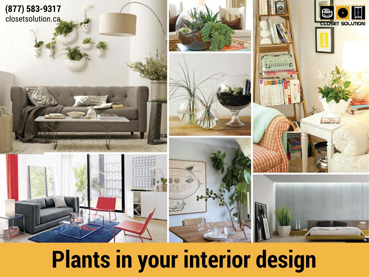 closet_solution's tweet photo. The Role of #Plants in the #InteriorDesign
Read here: https://t.co/58sArfsbPT
#closetsolution #design #flatinterior #toronto https://t.co/Oqun847bt0