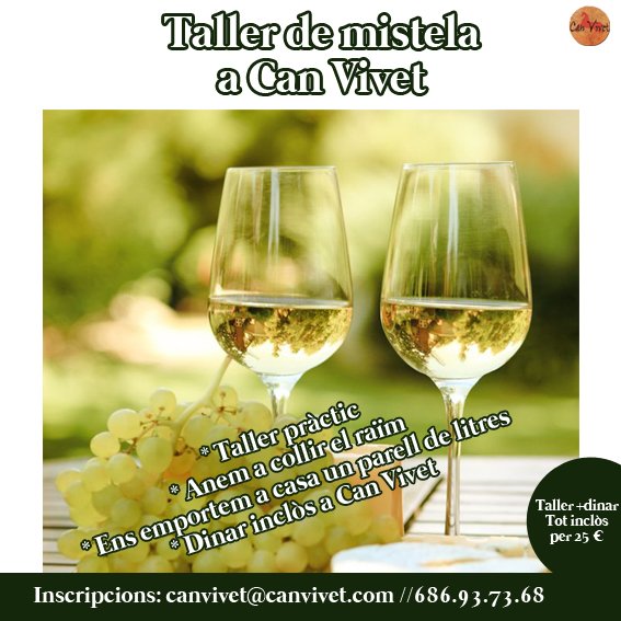 @canvivet tweet media
