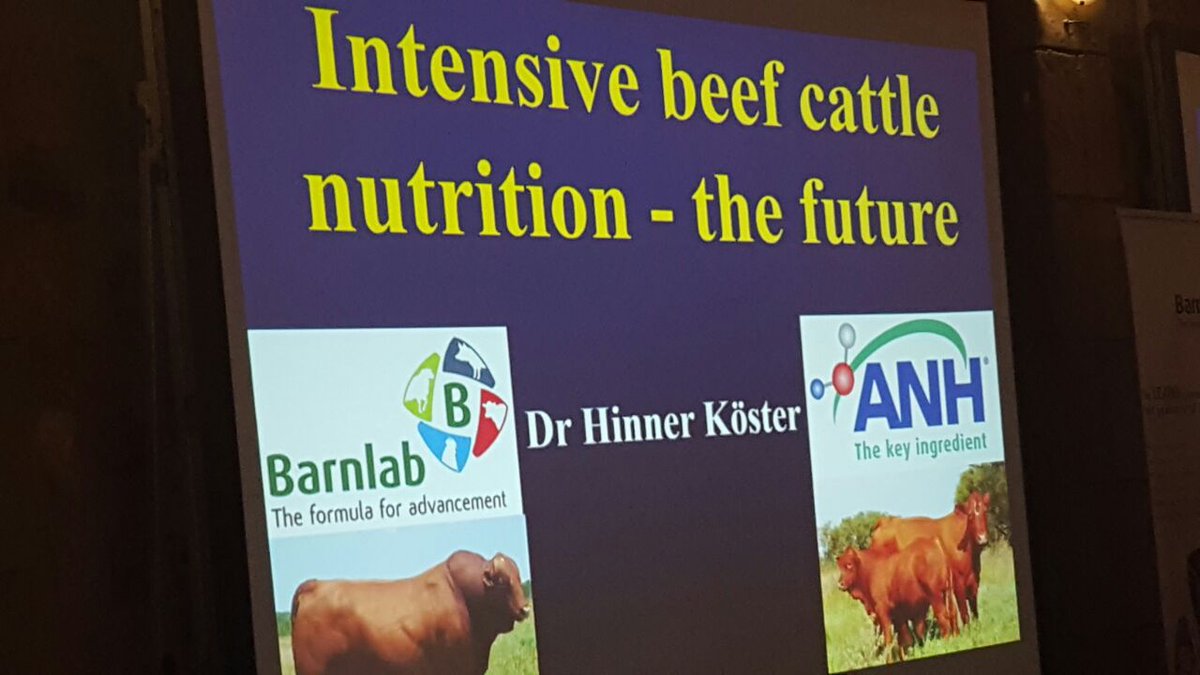 ALFAExpo's tweet photo. Dr Hinner Köster to look into the crystal ball next at #Barnlab conference on animal nutrition in future
#ALFA2016 https://t.co/dRkmIoTGaU