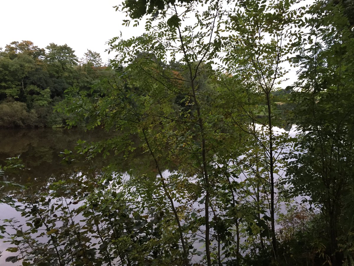 DMMacRaild's tweet photo. The colours of summer are fading. #Coleraine #Bann #Castleroe https://t.co/AqsOfB2dpT