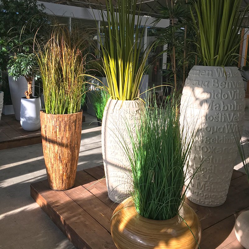 The sun makes even #artificial #plants come alive! <a href="/Maxifleur/">Maxifleur Kunstplant</a> #decoration #interiour #fakeplants #grasses #pots #planters #home #office