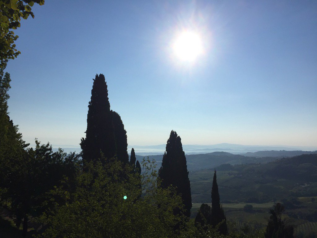 FoodWineLifeT's tweet photo. #Toscana #Italia #Montepulciano #harvesttime #Vinonobile https://t.co/iDnr9f1sjv
