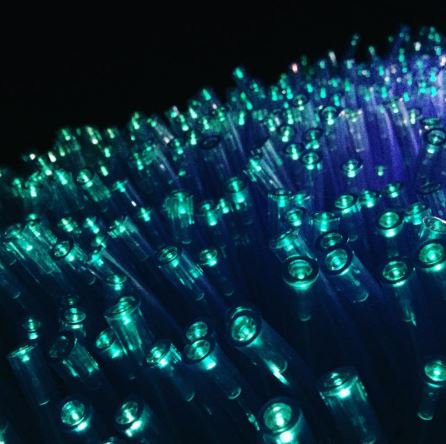 select_light's tweet photo. Living lights at #LDF16 with the amazing #LightPollination #competition #lightingdesign #futurelighting #organiclighting https://t.co/teGlZyibDI