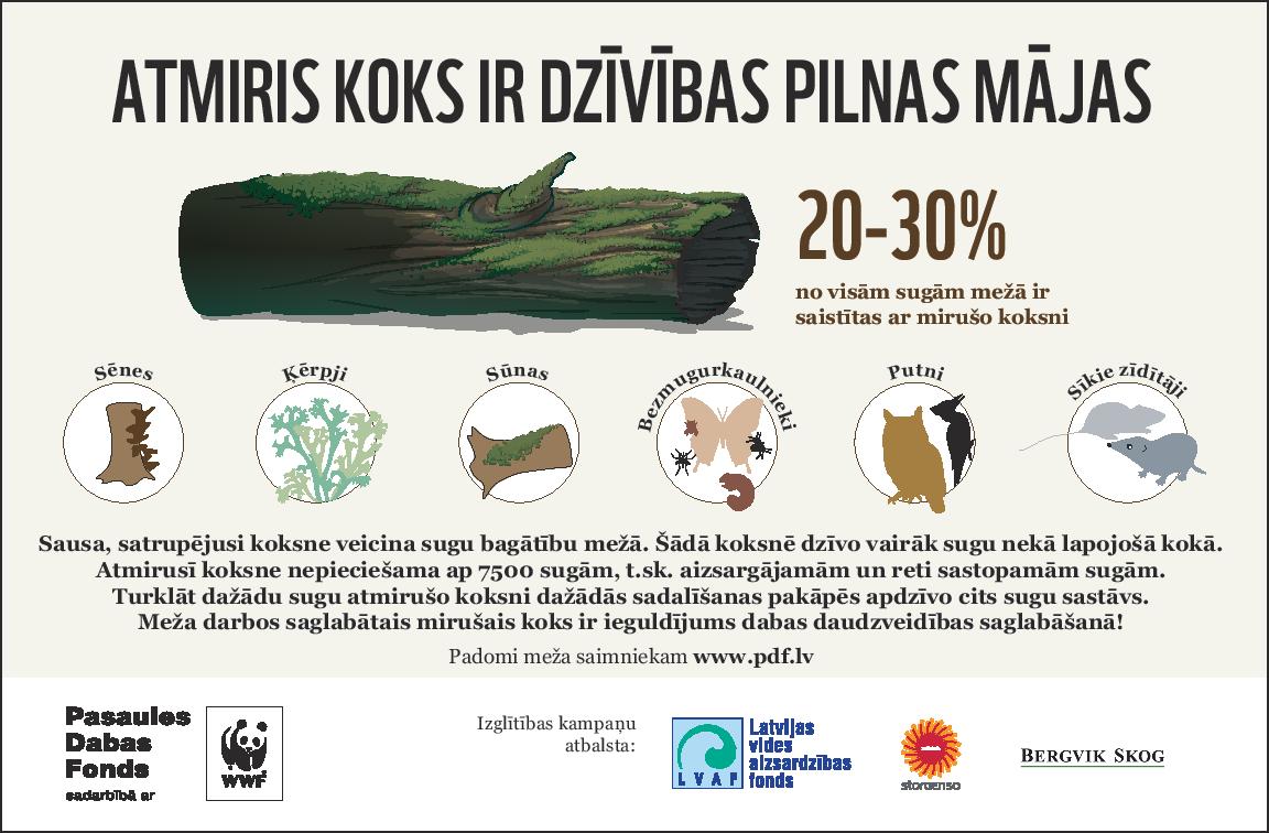 Pavadot brīvo laiku mežā, pievērs uzmanību atmirušajiem kokiem! Vai zināji, ka arī tie ir dzīvības pilni? #mežaziņas